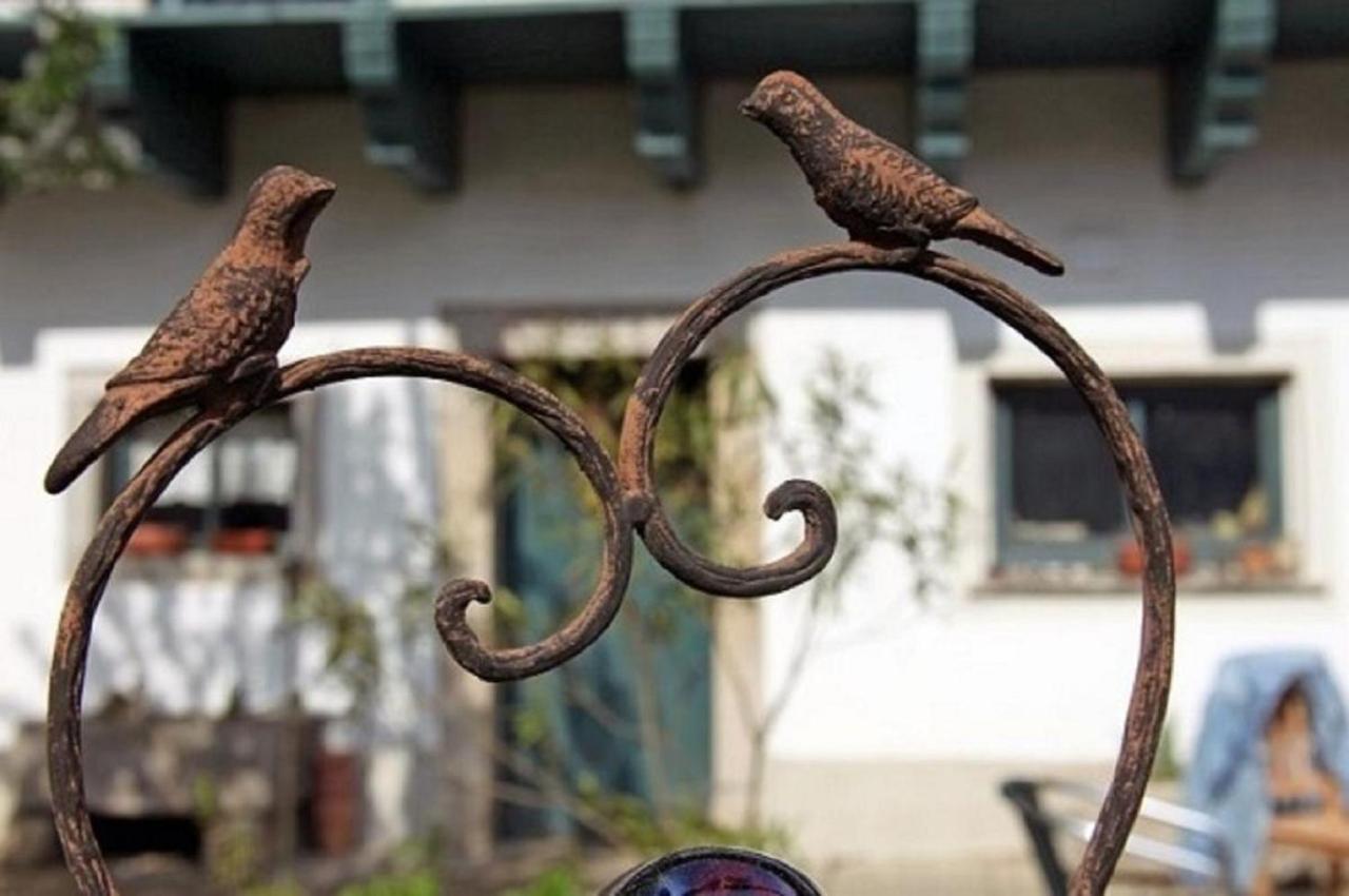 Der Breinhof - Euer Urlaubsbauernhof Daire Waldkirchen Dış mekan fotoğraf