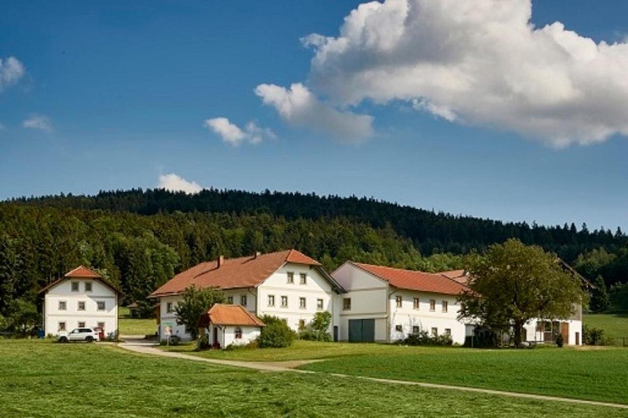 Der Breinhof - Euer Urlaubsbauernhof Daire Waldkirchen Dış mekan fotoğraf