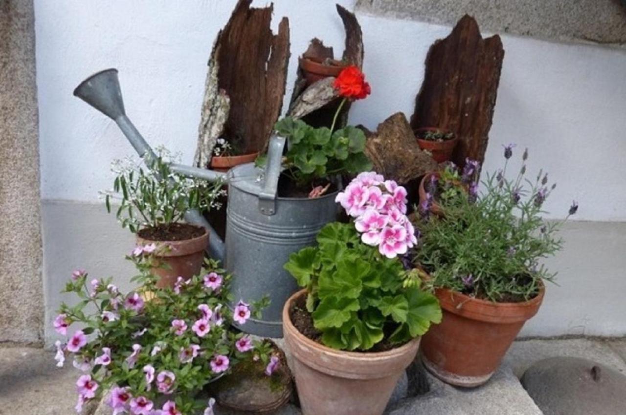 Der Breinhof - Euer Urlaubsbauernhof Daire Waldkirchen Dış mekan fotoğraf